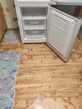 Холодильник и диван